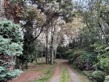 Casa en Venta en Puerto Varas