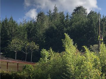 Venta de Finca en el retiro