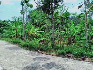 Jual Tanah di Mojogedang Karanganyar