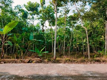 Jual Tanah di Mojogedang Karanganyar