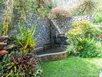 Finca en venta en Calima. Cod V5664