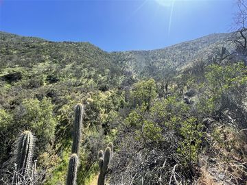 Sitio en Venta en La Aurora / las Chilcas