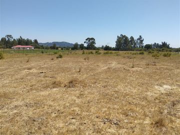 Parcela en venta en San Clemente