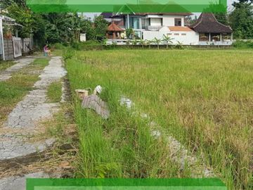 Miliki Sertifikat SHM : Dekat Kampus UIN Sunan Kalijaga Lahan Siap Bangun