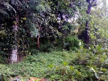 Tanah hook lokasi strategis belakang Hotel Hyatt