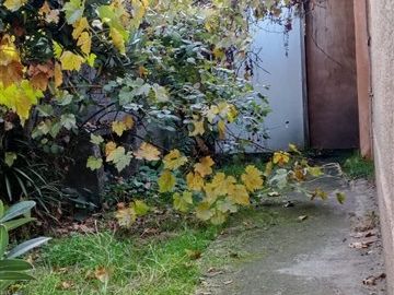 Casa en venta de 2 dorm. en San Fernando