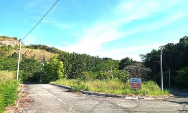 174 SQM Subdivision Lot for Sale in Upper Casili Greenville Heights Consolacion Cebu