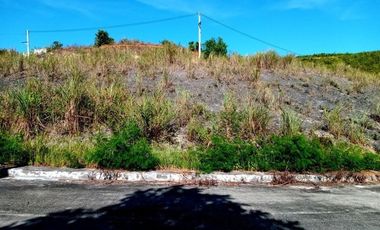 174 SQM Subdivision Lot for Sale in Upper Casili Greenville Heights Consolacion Cebu
