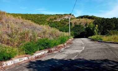 174 SQM Subdivision Lot for Sale in Upper Casili Greenville Heights Consolacion Cebu