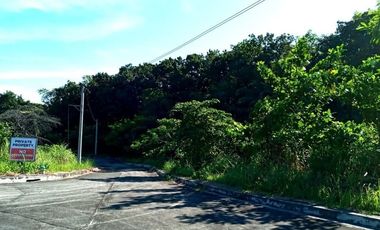 174 SQM Subdivision Lot for Sale in Upper Casili Greenville Heights Consolacion Cebu
