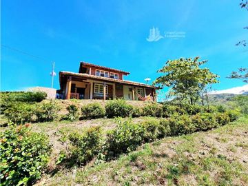 VENDO CASA Y UNA HECTAREA EN GUALACA