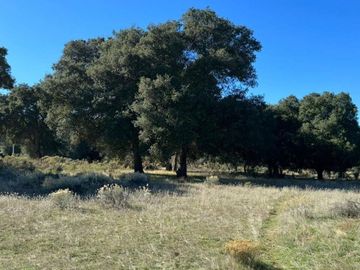 Se vende Rancho en Tecate, B.C.
