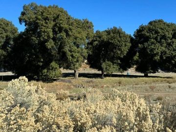 Se vende Rancho en Tecate, B.C.