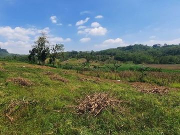 Tanah Tegal Murah, Selagi Launching, Jaminan Profit Tinggi