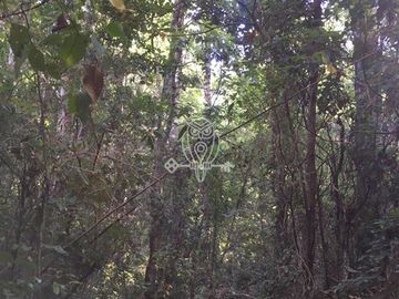 Parcela en venta orilla rio Liucura en Pucón