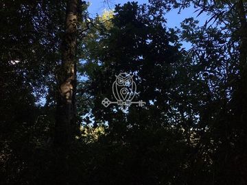 Parcela en venta orilla rio Liucura en Pucón