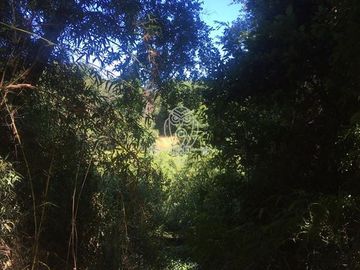 Parcela en venta orilla rio Liucura en Pucón