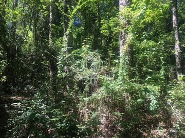 Parcela en venta orilla rio Liucura en Pucón