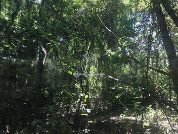 Parcela en venta orilla rio Liucura en Pucón