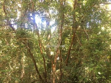 Parcela en venta orilla rio Liucura en Pucón