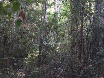 Parcela en venta orilla rio Liucura en Pucón