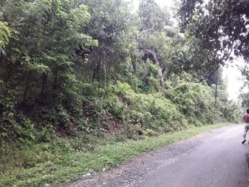 Tanah abeli pelabuhan bungkutoko dan terminal konteiner pelindo 4 kota kendari Sulawesi