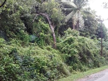 Tanah abeli pelabuhan bungkutoko dan terminal konteiner pelindo 4 kota kendari Sulawesi