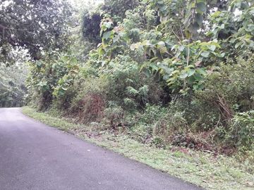 Tanah abeli pelabuhan bungkutoko dan terminal konteiner pelindo 4 kota kendari Sulawesi