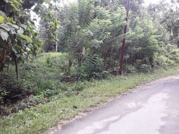 Tanah abeli pelabuhan bungkutoko dan terminal konteiner pelindo 4 kota kendari Sulawesi