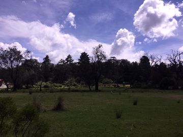 Terreno propio para cabañas casa de campo en Monte Quieto, Singuilucan, Hidalgo