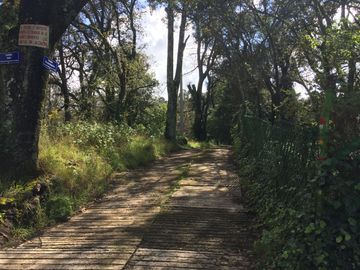 Terreno propio para cabañas casa de campo en Monte Quieto, Singuilucan, Hidalgo