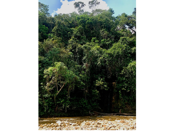 TERRENO CON SALIDA AL RIO CUMBAZA Y CARRETERA