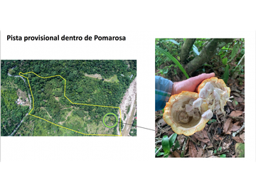 TERRENO CON SALIDA AL RIO CUMBAZA Y CARRETERA