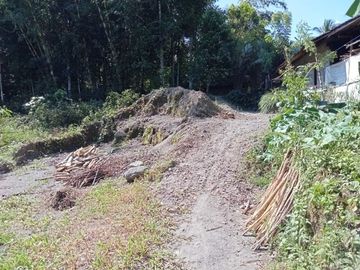 Tanah Sleman Luas di Wonokerto, Turi: Pekarangan