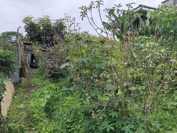 BELI VILLA FREE KEBUN APEL DI KOTA BATU