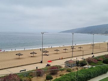PAPUDO LAGUNA
