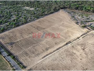 🚨 ¡Se Vende Espectacular Terreno En La Viña 17,360M2 – Jayanca! 🚨