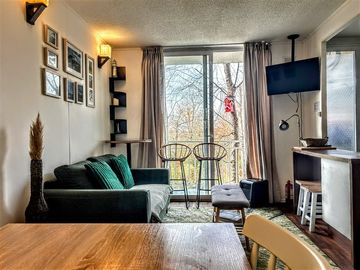 Condominio Parque Pucón
