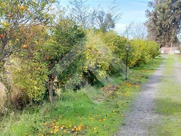 Terreno Construccion  en Venta en Buín