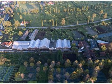 Rumah villa dengan udara yang sejuk didaerah wisata cisarua