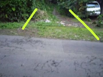 Dijual Tanah Pekarangan di Wonokerto, Turi: Lingkungan Asri
