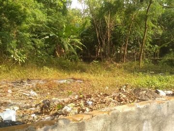 Lebaran Diskon Tanah Luas 719 m2 10 menit ke Kampus UGM & UNY