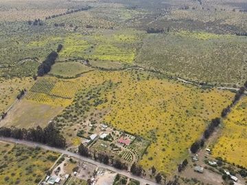 Parcelas en venta en Zapallar.