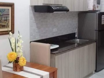 Fully Furnished Studio Condominium in Cebu Business Park