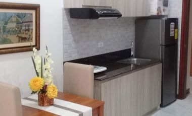 Fully Furnished Studio Condominium in Cebu Business Park