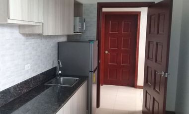 Fully Furnished Studio Condominium in Cebu Business Park