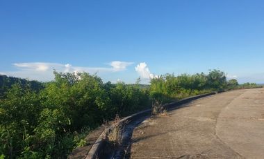 Overlooking 101 SQM Lot for Sale in Aspen Heights Consolacion Cebu with Mountain View