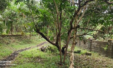 FOR SALE: 10, 266 SQM Vacant lot in Bamban, Tarlac City