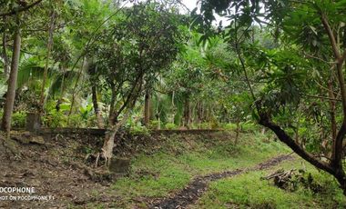 FOR SALE: 10, 266 SQM Vacant lot in Bamban, Tarlac City