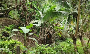 FOR SALE: 10, 266 SQM Vacant lot in Bamban, Tarlac City